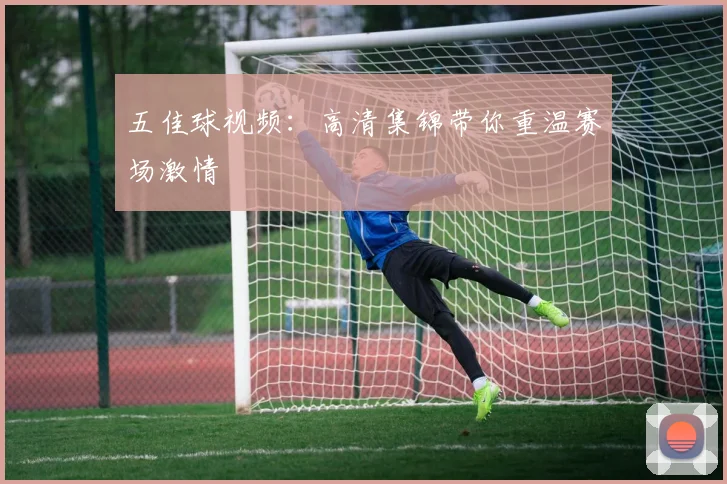 五佳球视频:高清集锦带你重温赛场激情